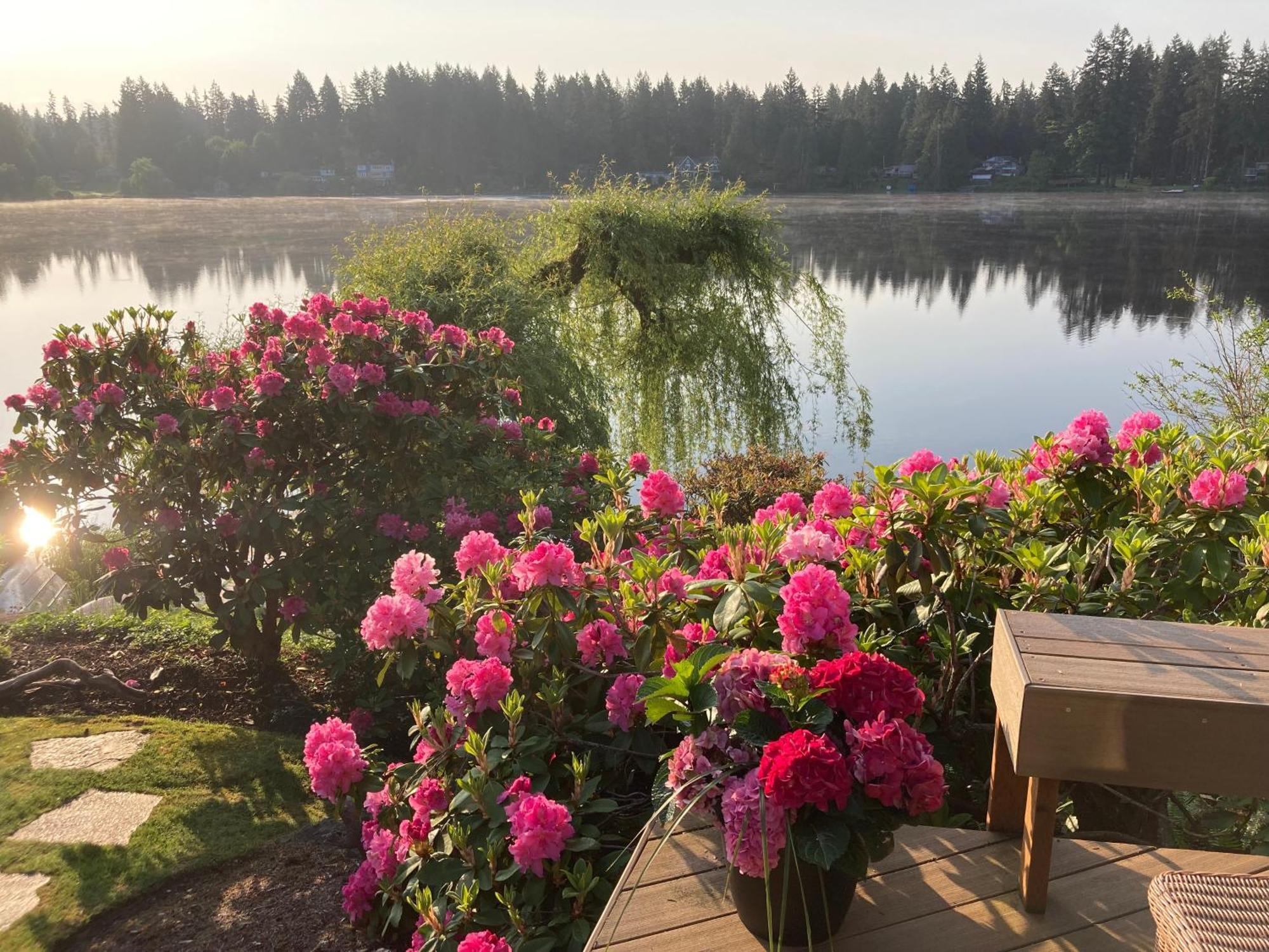 Cottage Lake Bed And Breakfast Woodinville Εξωτερικό φωτογραφία