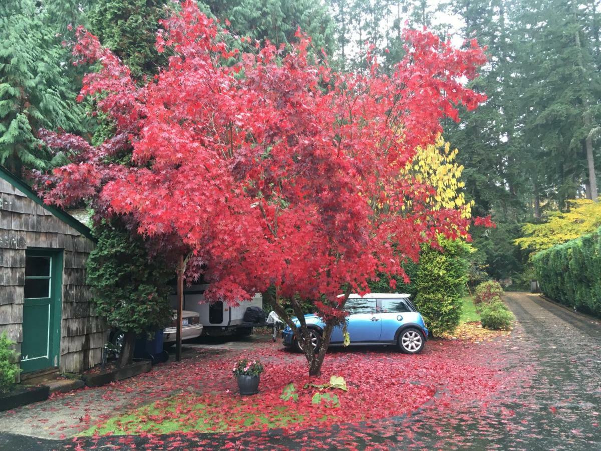Cottage Lake Bed And Breakfast Woodinville Εξωτερικό φωτογραφία